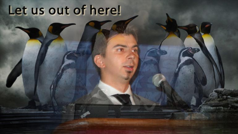 Test finale per Google Penguin 3.0
