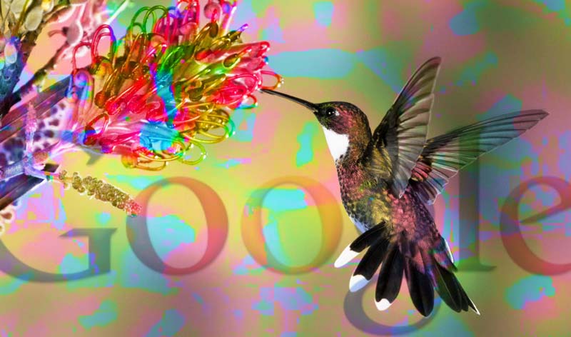 Google Hummingbird: 10 mesi dopo