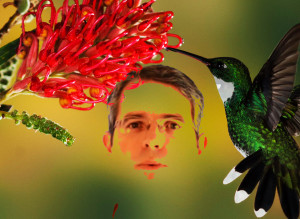Matt Cutts with Hummingbird
