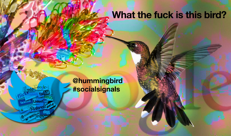 Hummingbird e i segnali sociali