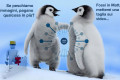 Link building con le immagini
