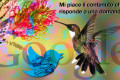 Il contenuto che piace al Colibrì