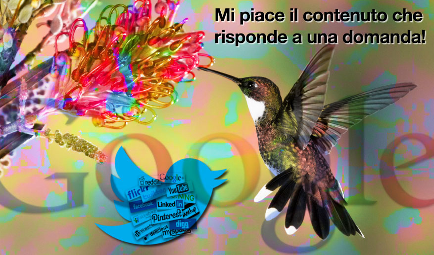 Il contenuto che piace al Colibrì