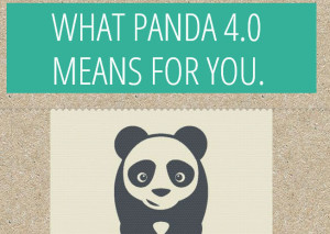 Authority e Google Panda 4.0