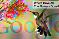 Google Hummingbird: 10 mesi dopo