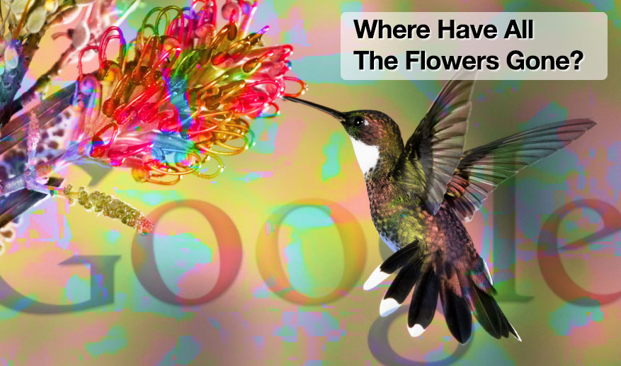 Google Hummingbird: 10 mesi dopo