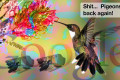 Google Pigeon 1.0