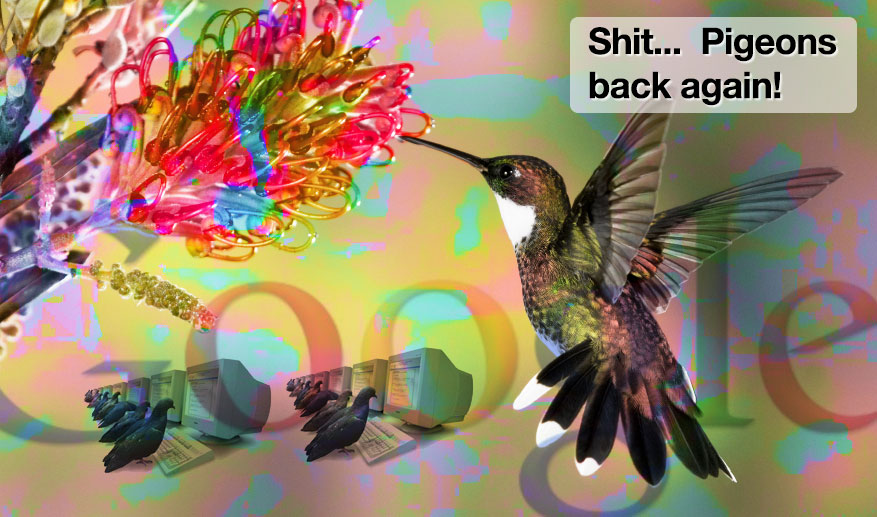 Google Pigeon 1.0