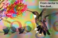 Google Pigeon: una prima analisi