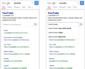 Sitelinks Search Box