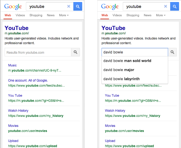 Sitelinks Search Box