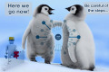 Ecco Penguin 3.0