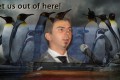 Test finale per Google Penguin 3.0
