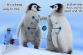 Chi colpisce Google Penguin 3.0?