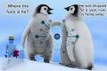 Falso allarme per un Penguin 3.1