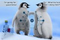 Il Pinguino rileva anche i link di qualità