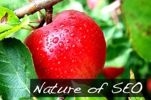 Non chiamatela SEO naturale e nemmeno organica...