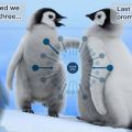 Il Pinguino Immortale