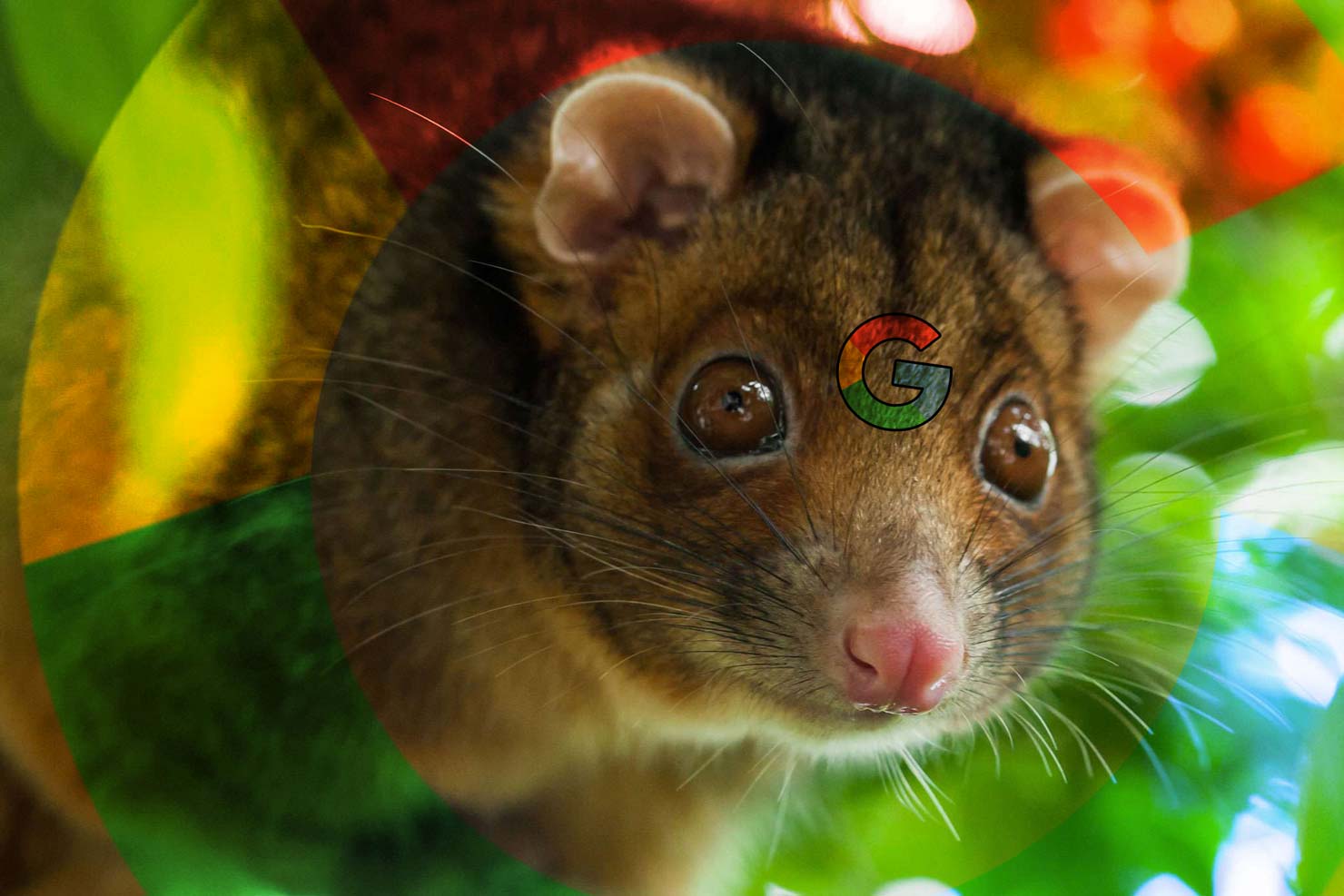Google Possum Update